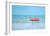 Bonaire, Dutch Caribbean - Flamingos and Ocean-Lantern Press-Framed Art Print