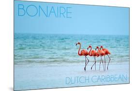 Bonaire, Dutch Caribbean - Flamingos and Ocean-Lantern Press-Mounted Art Print