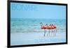 Bonaire, Dutch Caribbean - Flamingos and Ocean-Lantern Press-Framed Art Print