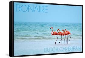 Bonaire, Dutch Caribbean - Flamingos and Ocean-Lantern Press-Framed Stretched Canvas