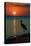 Bonaire, Dutch Caribbean - Heron and Sunset-Lantern Press-Stretched Canvas