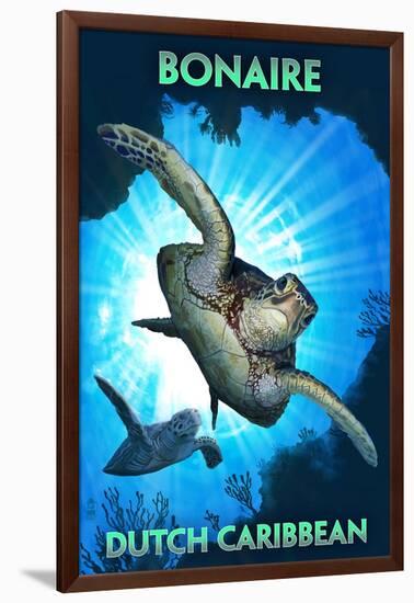 Bonaire, Dutch Caribbean - Sea Turtle Diving-Lantern Press-Framed Art Print