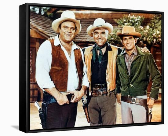 Bonanza-null-Framed Stretched Canvas