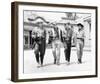 Bonanza-null-Framed Photo