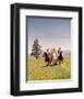 Bonanza-null-Framed Photo