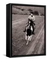 Bonanza-null-Framed Stretched Canvas