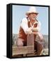 Bonanza-null-Framed Stretched Canvas