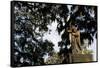 Bonaventure Cemetery, Savanna, Georgia-Paul Souders-Framed Stretched Canvas