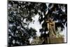 Bonaventure Cemetery, Savanna, Georgia-Paul Souders-Mounted Photographic Print