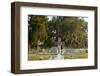 Bonaventure Cemetery, Savanna, Georgia-Paul Souders-Framed Photographic Print