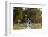 Bonaventure Cemetery, Savanna, Georgia-Paul Souders-Framed Photographic Print