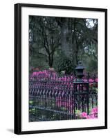 Bonaventure Cemetery, Savannah, Georgia, USA-Joanne Wells-Framed Photographic Print