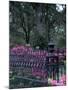 Bonaventure Cemetery, Savannah, Georgia, USA-Joanne Wells-Mounted Photographic Print