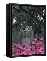 Bonaventure Cemetery, Savannah, Georgia, USA-Joanne Wells-Framed Stretched Canvas