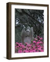 Bonaventure Cemetery, Savannah, Georgia, USA-Joanne Wells-Framed Photographic Print