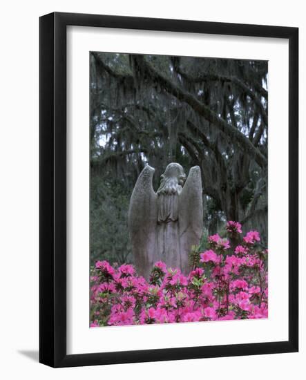 Bonaventure Cemetery, Savannah, Georgia, USA-Joanne Wells-Framed Photographic Print