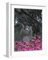 Bonaventure Cemetery, Savannah, Georgia, USA-Joanne Wells-Framed Photographic Print