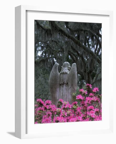 Bonaventure Cemetery, Savannah, Georgia, USA-Joanne Wells-Framed Photographic Print