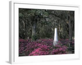 Bonaventure Cemetery, Savannah, Georgia, USA-Joanne Wells-Framed Photographic Print