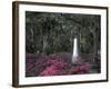 Bonaventure Cemetery, Savannah, Georgia, USA-Joanne Wells-Framed Photographic Print