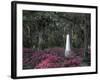 Bonaventure Cemetery, Savannah, Georgia, USA-Joanne Wells-Framed Photographic Print