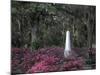 Bonaventure Cemetery, Savannah, Georgia, USA-Joanne Wells-Mounted Photographic Print