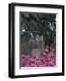 Bonaventure Cemetery, Savannah, Georgia, USA-Joanne Wells-Framed Photographic Print