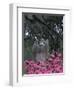 Bonaventure Cemetery, Savannah, Georgia, USA-Joanne Wells-Framed Photographic Print