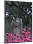 Bonaventure Cemetery, Savannah, Georgia, USA-Joanne Wells-Mounted Photographic Print