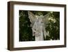 Bonaventure Cemetery, Savannah, Georgia-Paul Souders-Framed Photographic Print