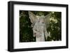 Bonaventure Cemetery, Savannah, Georgia-Paul Souders-Framed Photographic Print