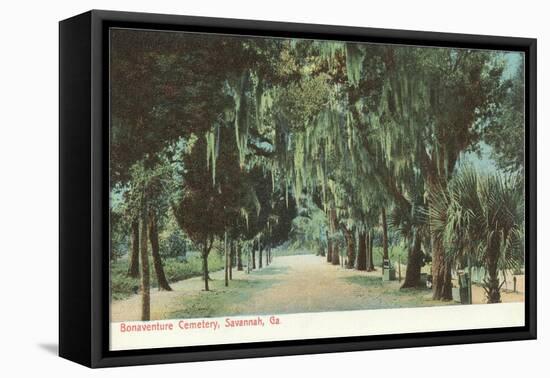 Bonaventure Cemetery, Savannah, Georgia-null-Framed Stretched Canvas