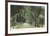 Bonaventure Cemetery, Savannah, Georgia-null-Framed Premium Giclee Print