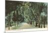 Bonaventure Cemetery, Savannah, Georgia-null-Mounted Premium Giclee Print