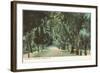 Bonaventure Cemetery, Savannah, Georgia-null-Framed Art Print