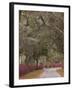 Bonaventure Cemetery with Moss Draped Oak, Dogwoods and Azaleas, Savannah, Georgia, USA-Joanne Wells-Framed Photographic Print