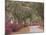 Bonaventure Cemetery with Moss Draped Oak, Dogwoods and Azaleas, Savannah, Georgia, USA-Joanne Wells-Mounted Photographic Print