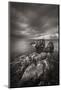 Bonavista Peninsula-Alan Majchrowicz-Mounted Photographic Print