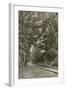 Bonchurch Road, Isle of Wight-null-Framed Photographic Print