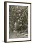 Bonchurch Road, Isle of Wight-null-Framed Photographic Print