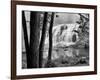 Bond Falls & Trees-Monte Nagler-Framed Giclee Print