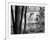 Bond Falls & Trees-Monte Nagler-Framed Giclee Print