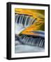 Bond Falls-PHBurchett-Framed Photographic Print