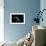 Bond-Antonio Grambone-Framed Photographic Print displayed on a wall