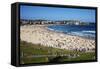 Bondi Beach, Sydney, New South Wales, Australia, Pacific-Mark Mawson-Framed Stretched Canvas