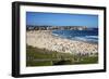 Bondi Beach, Sydney, New South Wales, Australia, Pacific-Mark Mawson-Framed Photographic Print