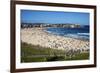 Bondi Beach, Sydney, New South Wales, Australia, Pacific-Mark Mawson-Framed Photographic Print