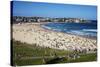 Bondi Beach, Sydney, New South Wales, Australia, Pacific-Mark Mawson-Stretched Canvas