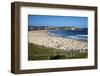 Bondi Beach, Sydney, New South Wales, Australia, Pacific-Mark Mawson-Framed Premium Photographic Print