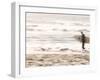 Bondi Beach, Sydney, New South Wales, Australia-Mark Mawson-Framed Photographic Print